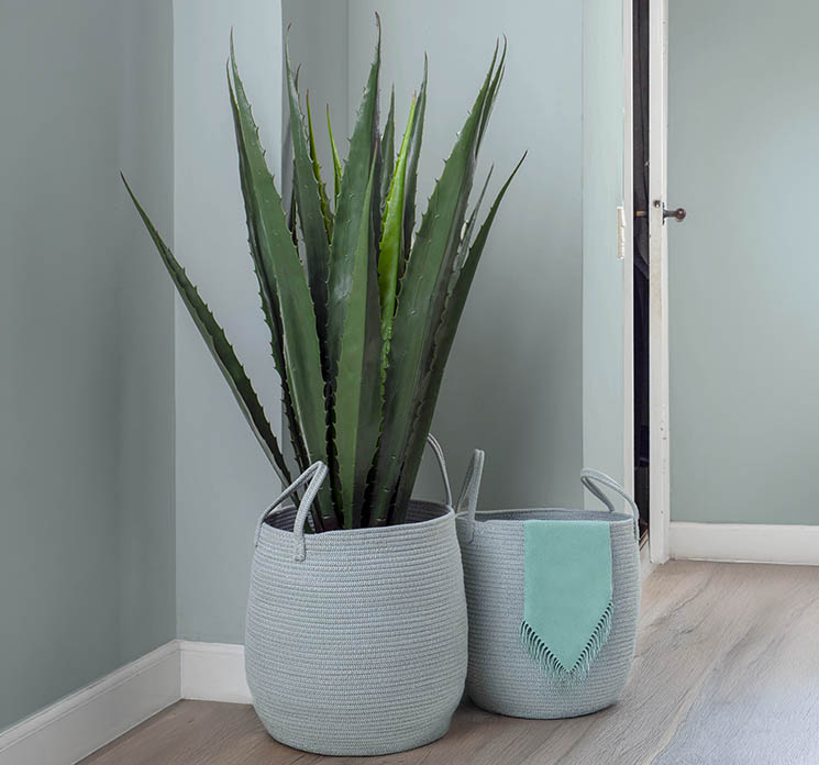 Kurv af søgræs med hanke vist med kunstig agave plante og plaid i entre miljø