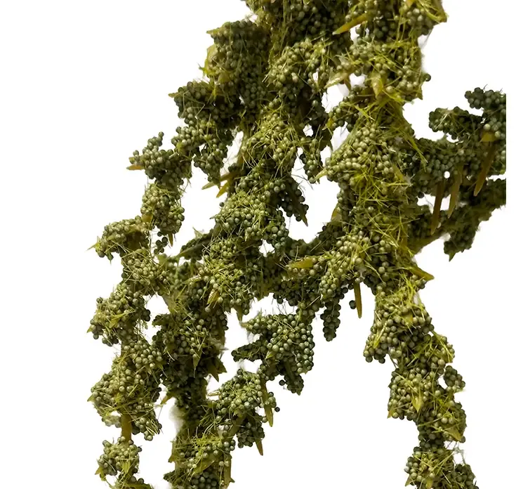 Kunstig amarant hænger i grøn af plast closeup