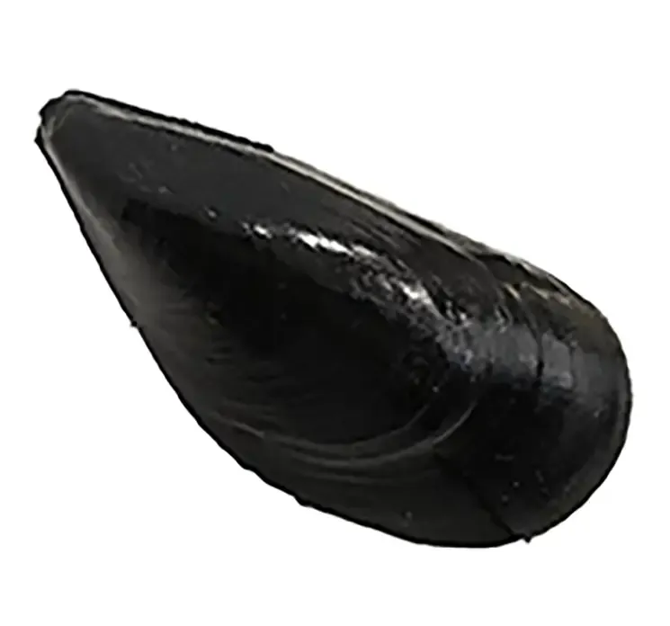 Kunstige blåmuslinger af plast enkelt