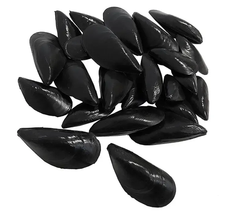 Kunstige blåmuslinger af plast