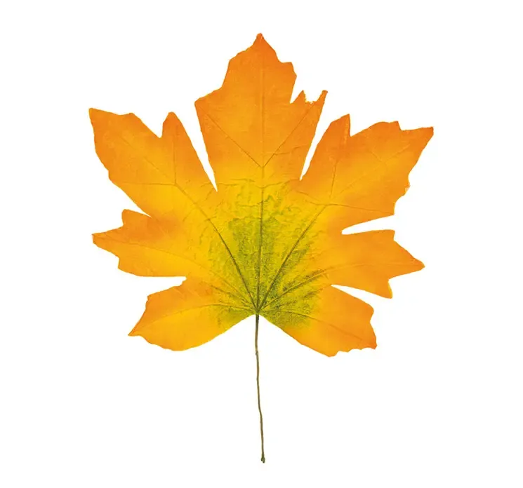 Kunstig ahorn blad i orange og gul