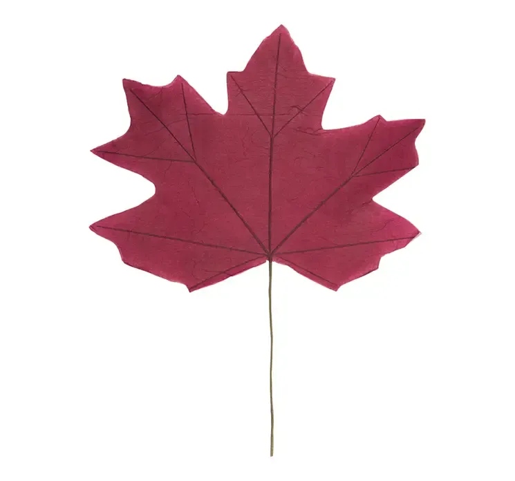 Kunstig ahorn blad af papir i bordeaux