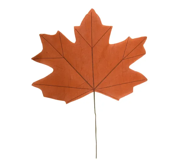 Kunstig ahorn blad af papir i orange