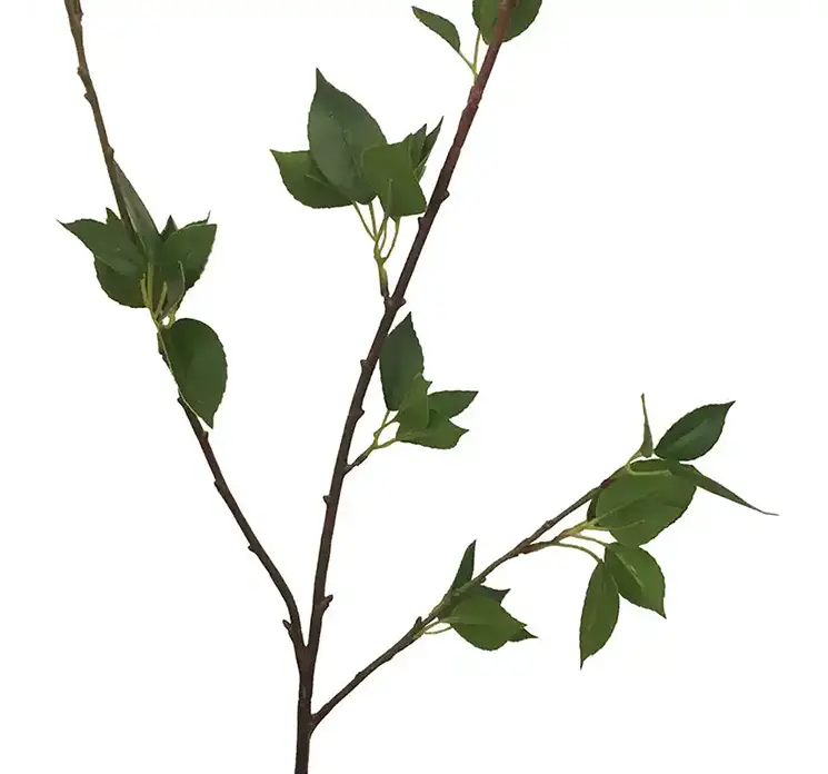Galnebær også kaldet atropa bella donna kunstig gren af plast med grønne blade closeup