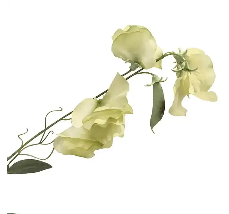 Kunstig ærteblomst i hvid af plast closeup