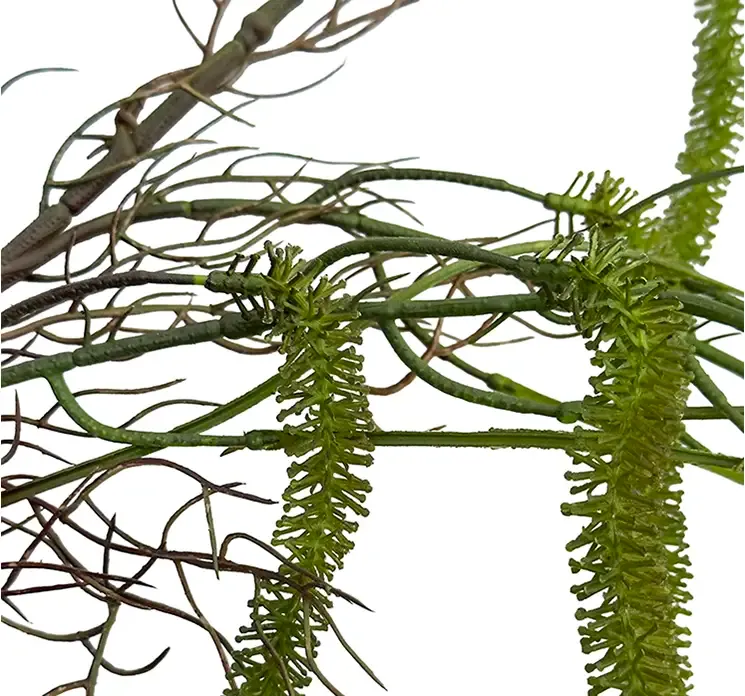 Kunstig blomstergren amarant også kaldet amaranthus i grøn closeup