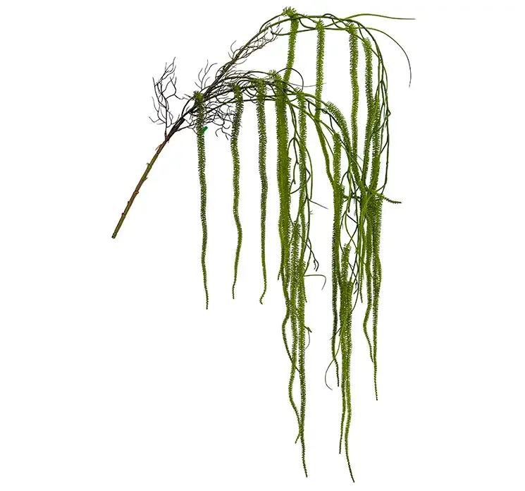 Kunstig blomster gren amarant også kaldet amaranthus i grøn