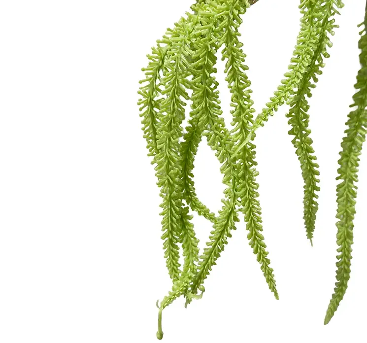 Kunstig amarant også kaldet amaranthus blomstergren i grøn closeup