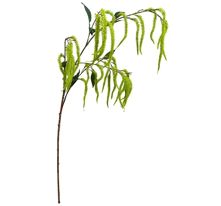 Kunstig amarant også kaldet amaranthus blomstergren i grøn