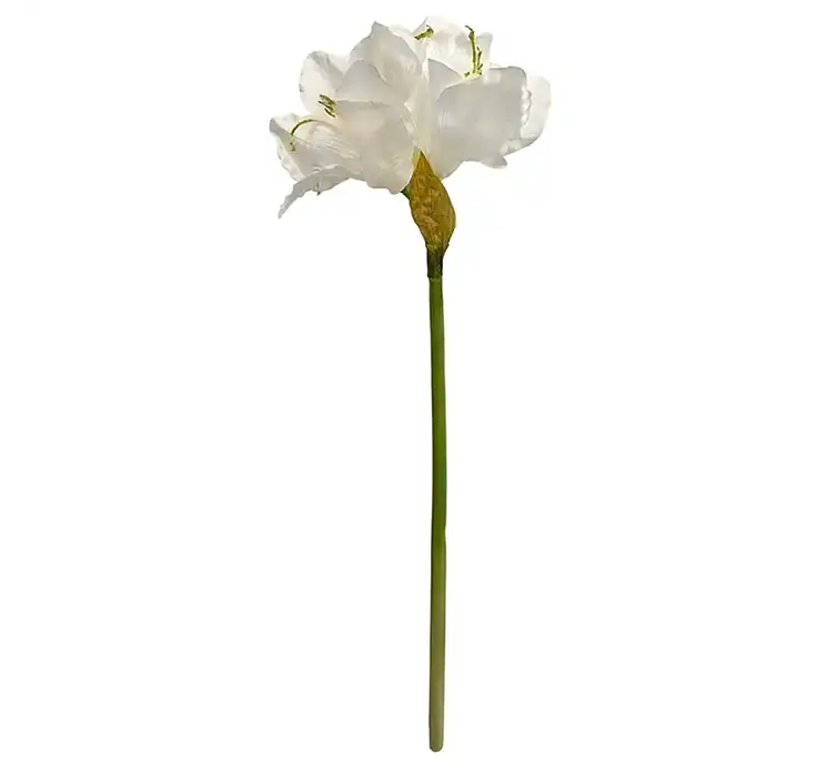 Amaryllis også kaldet de fire verdenshjørner kunstig blomst af plast i hvid