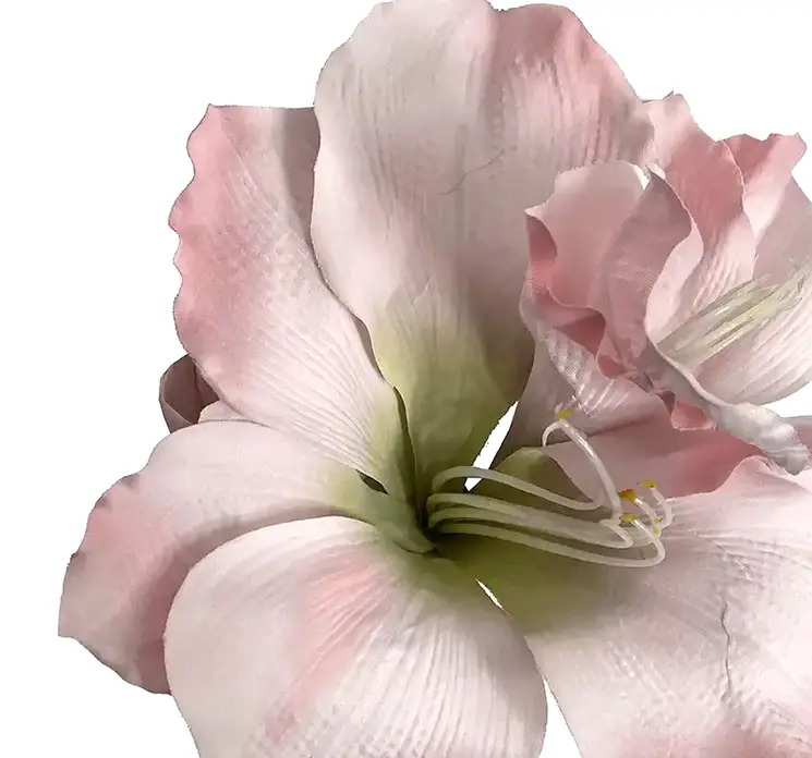 Amaryllis også kaldet de fire verdenshjørner kusntig blomst af plast i lyserød closeup