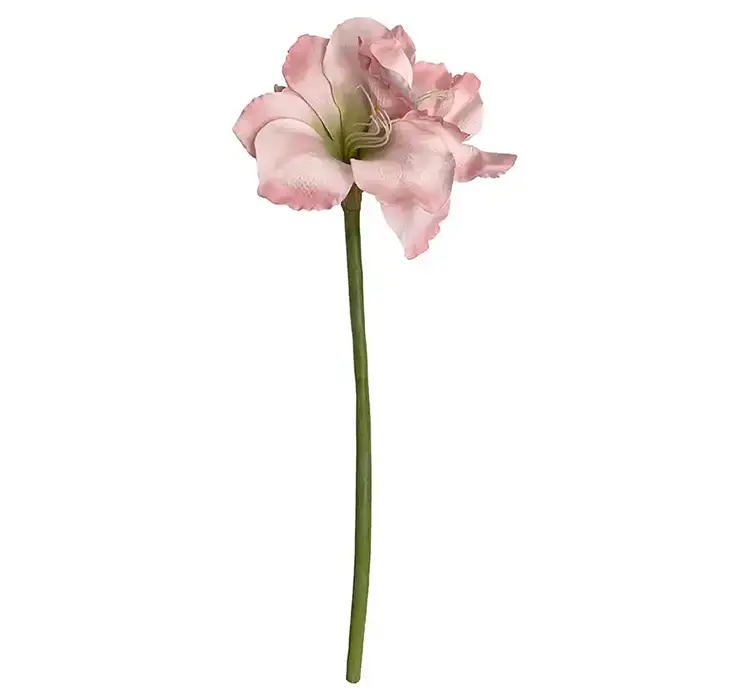 Amaryllis også kaldet de fire verdenshjørner kusntig blomst af plast i lyserød