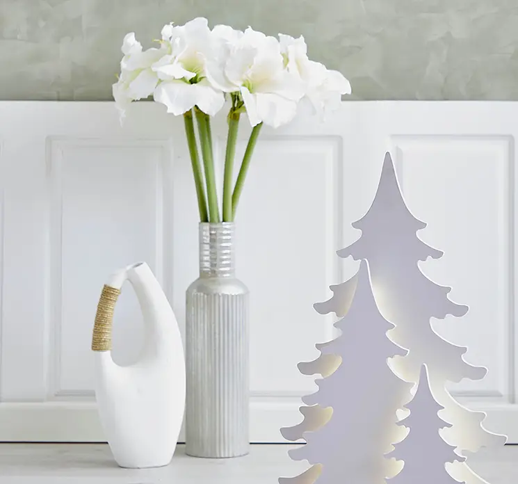 Amaryllis også kaldet de fire verdenshjørner af plast i hvid vist i vase i stuemiljø