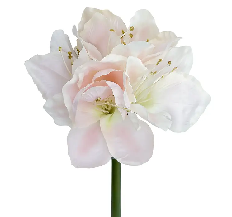 Amaryllis også kaldet de fire verdenshjørner kunstig blomst i hvid og lyserød af kunstsilke og plast closeup