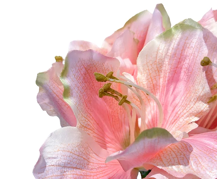 Kunstig Amaryllis i lyserød closeup