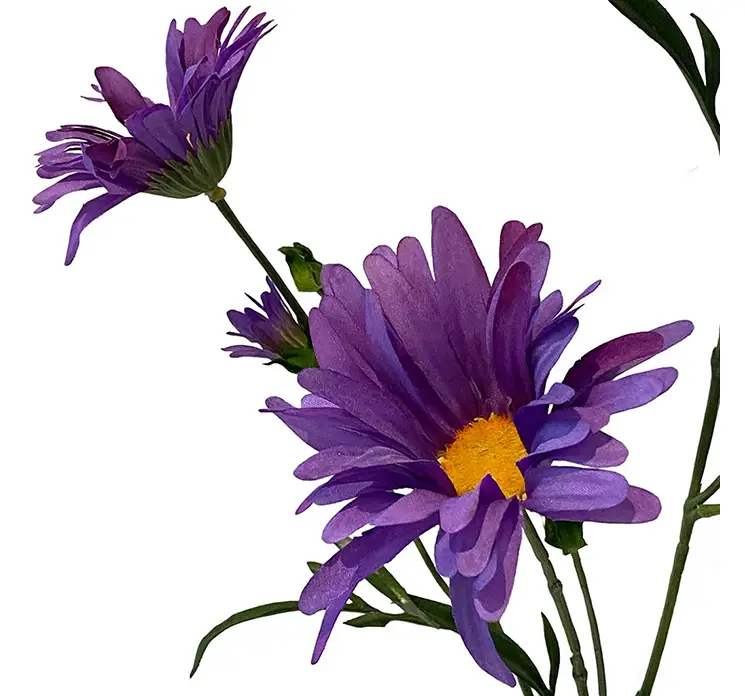 Asters kunstig blomst af plast i lilla closeup