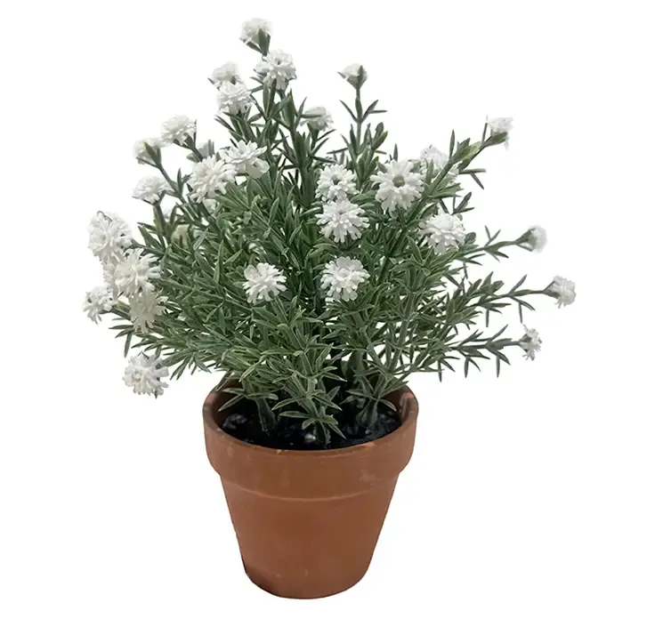 Kunstig brudeslør blomst i hvid sat i potte