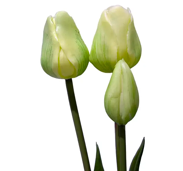 Kunstig tulipan buket af gummi i grøn closeup