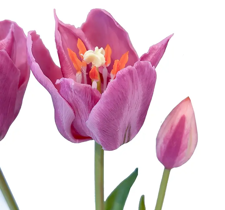 Tulipan buket i lilla af kunstige blomster med real touch i plast gummi 48cm closeup