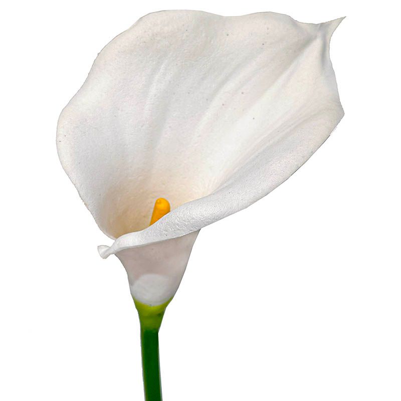 Kunstig calla blomst af plast i hvid closeup