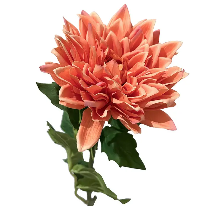 Dahlia også kaldet georgine kunstig blomst af plast i fersken farvet closeup
