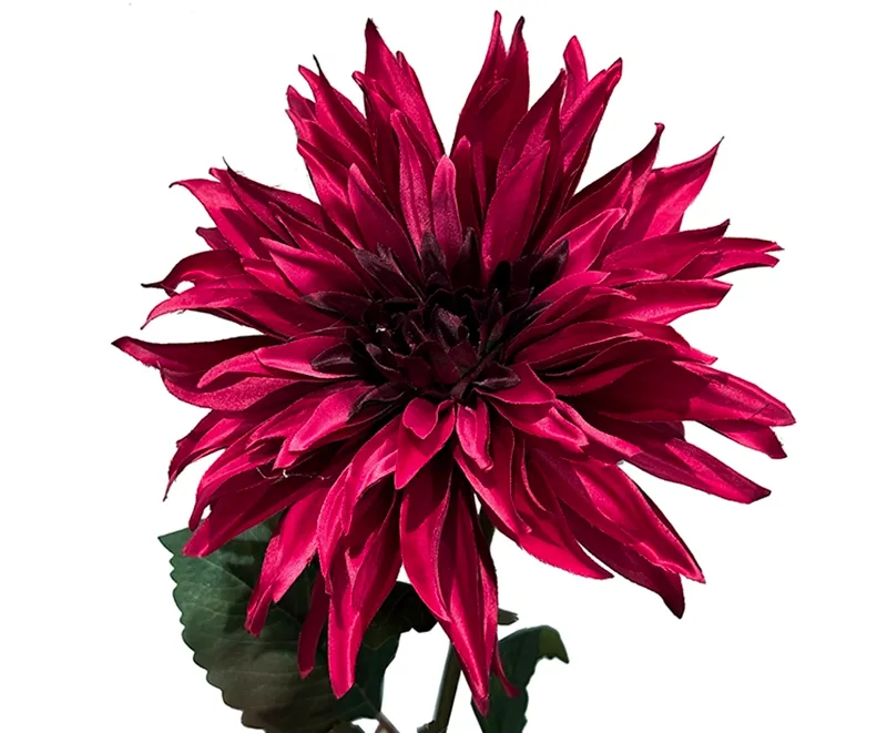 Kunstig fuchsia farvet dahlia, georgine i plast closeup