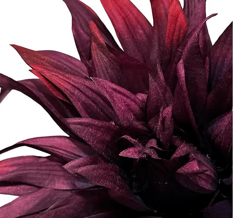 Dahlia også kaldet georgine af plast i mørk lilla closeup
