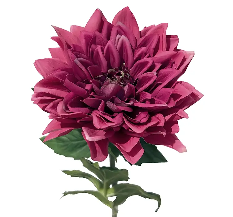 Dahlia også kaldet georgine kunstig blomst af plast i lilla closeup