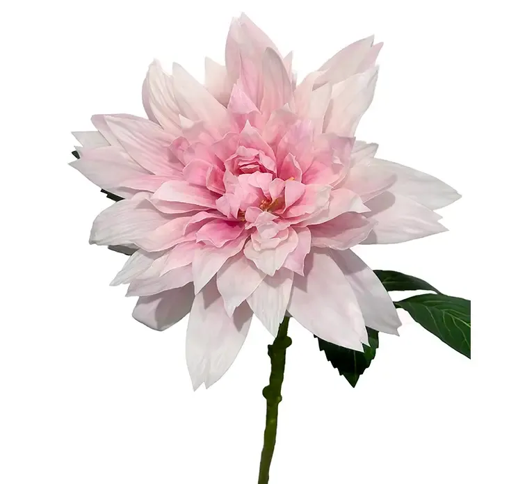 Kunstig dahlia også kaldet georgine i lyserød af plast closeup