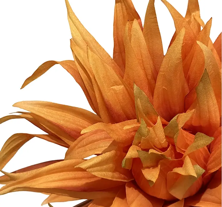 Dahlia også kaldet georgine af plast i orange closeup