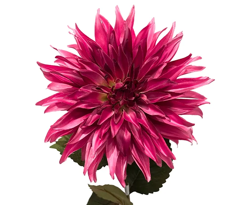 Kunstig pink farvet dahlia, georgine i plast closeup