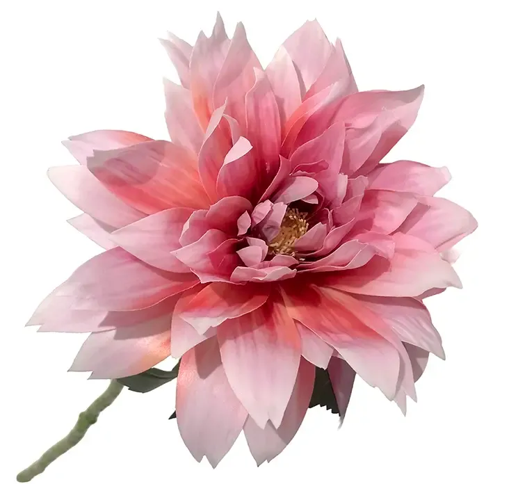 Kunstig dahlia også kaldet georgine i pink af plast closeup