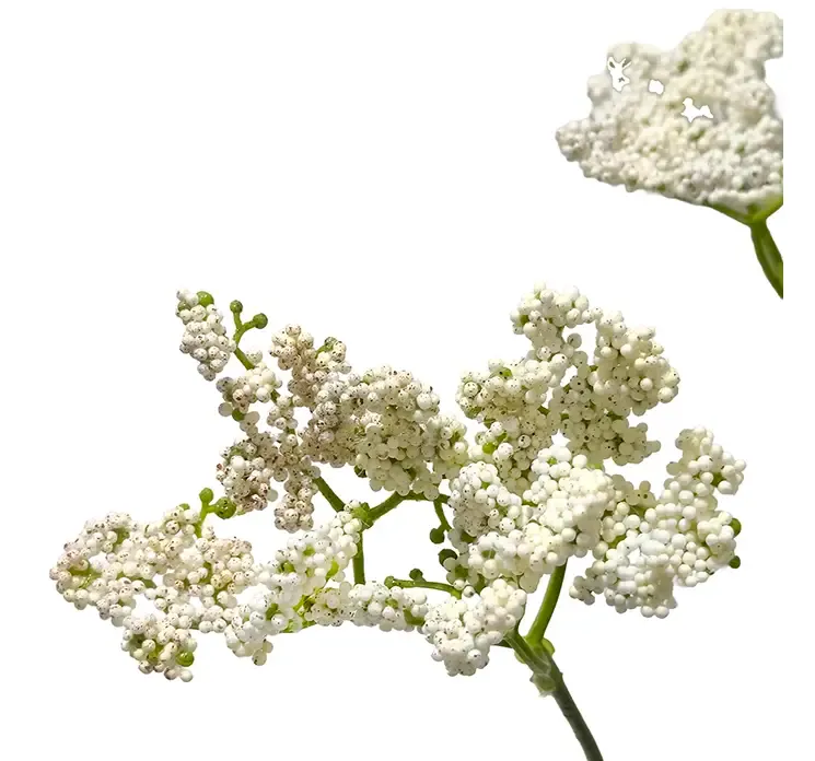 Kunstig dild blomst i hvid af plast closeup