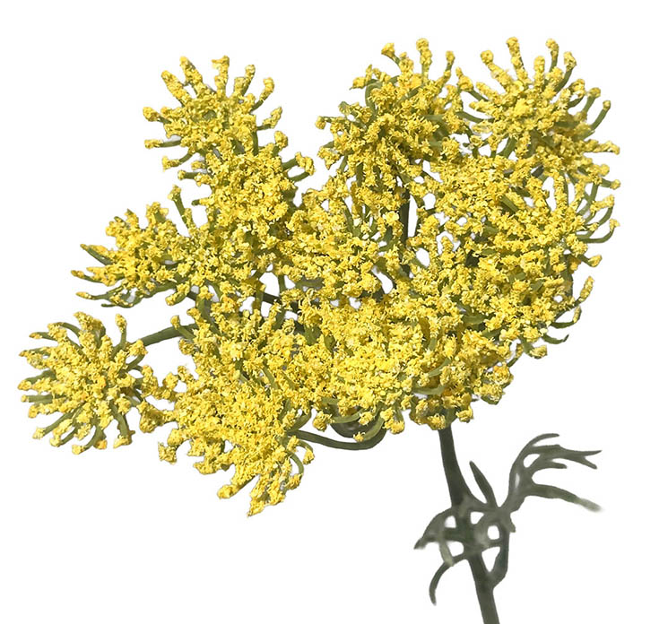 Kunstig dild blomst i gul af plast closeup