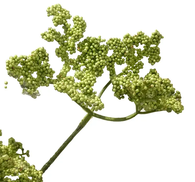 Kunstig dild blomst i lysegrøn af plast closeup