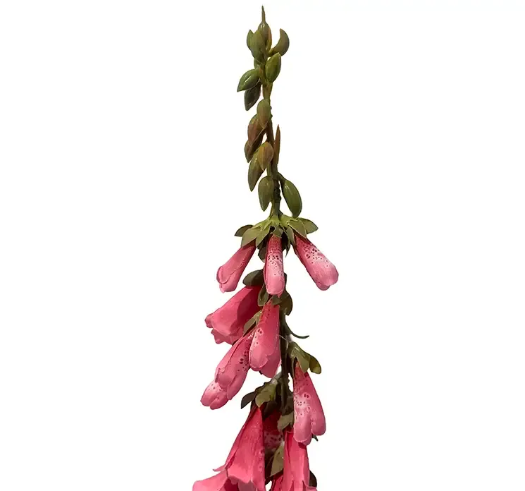 Kunstig blomst fingerbøl også kaldet digitalis i pink af plast closeup
