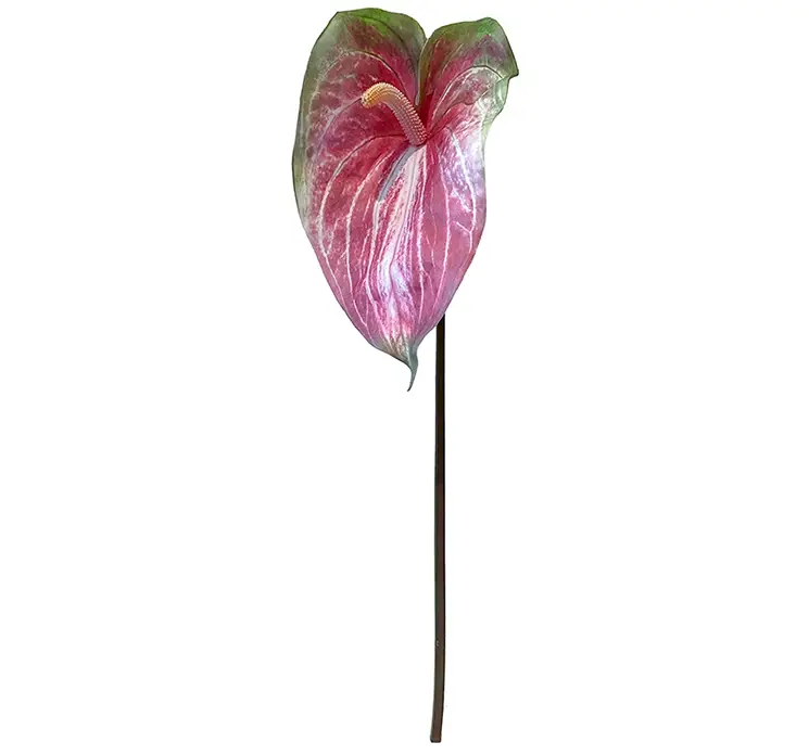Flamingo kunstig blomst at plast i pink