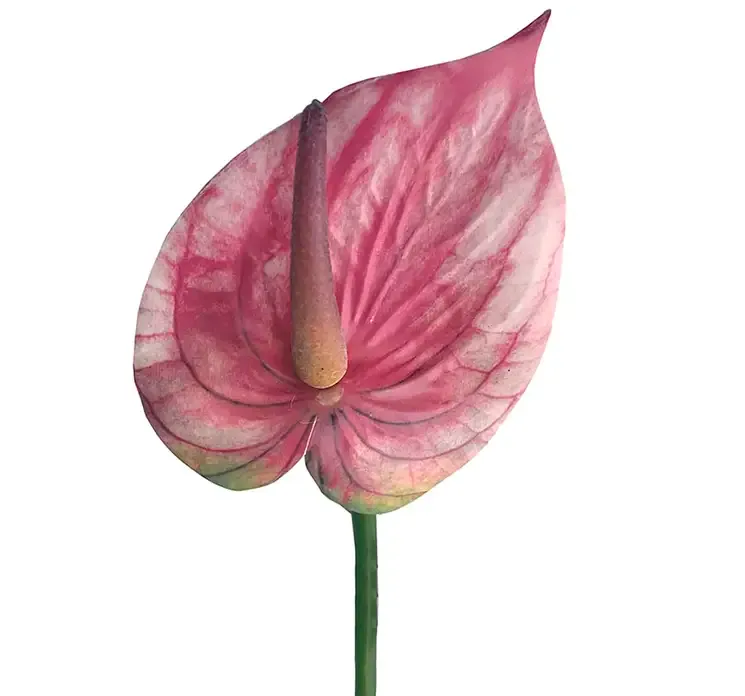 Kunstig flamingo blomst i pink af plast closeup