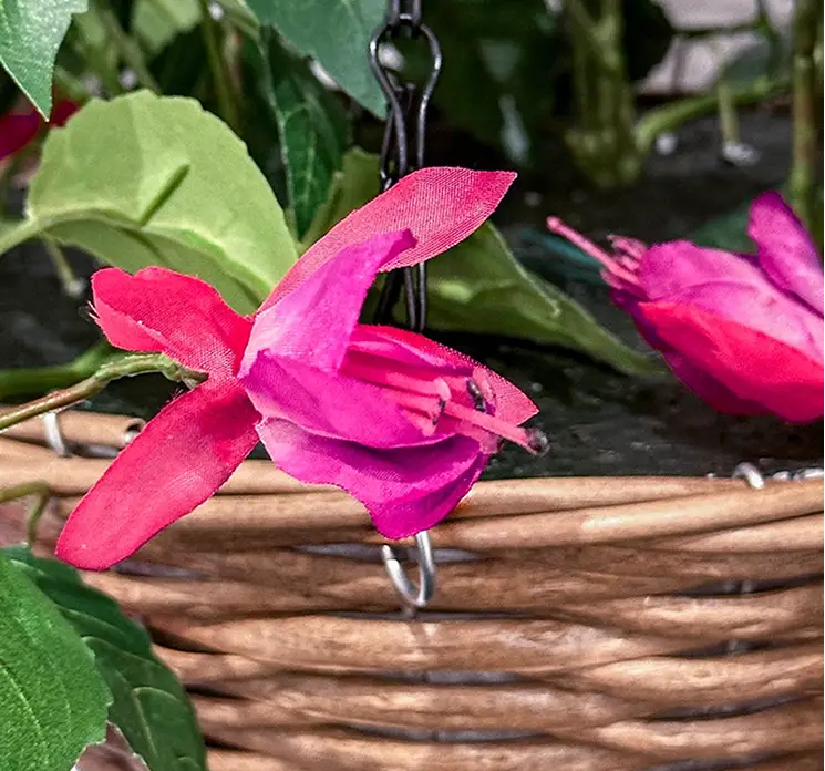 Fuchsia med kurv til ophæng kunstig uv-beskyttet blomst i fuchsia farvet closeup