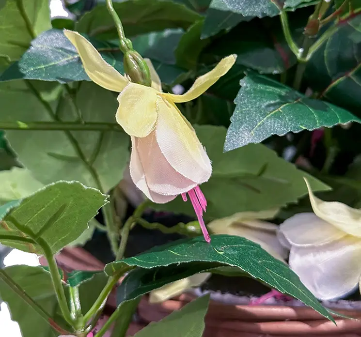 Fuchsia i creme farvet i kurv til ophæng kunstig blomst af plast closeup