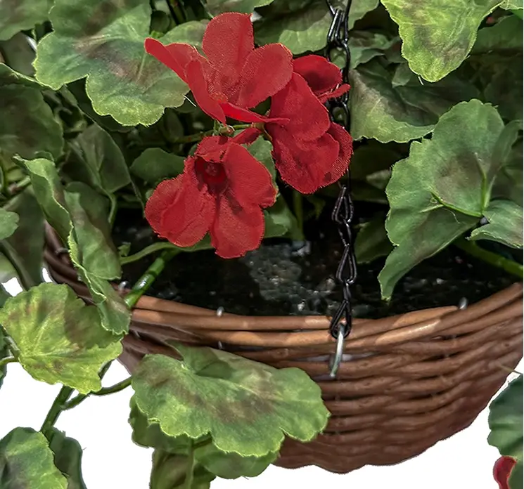 Pelargonie hænger også kaldet geranium i kurv til ophæng kunstig blomst i rød closeup