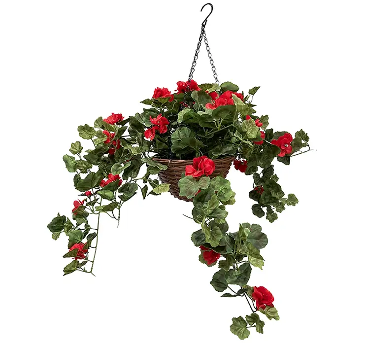 Pelargonie hænger også kaldet geranium i kurv til ophæng kunstig blomst i rød