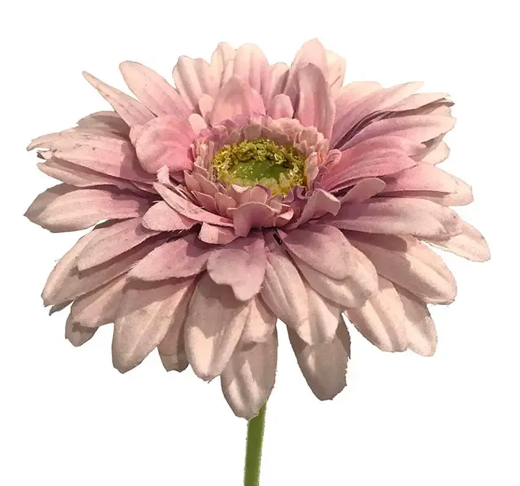 Kunstig gerbera blomst i lyserød af plast closeup