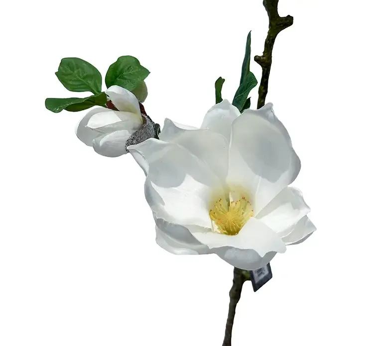 Kunstig Magnolia blomstergren af plast i hvid, closeup af blomster