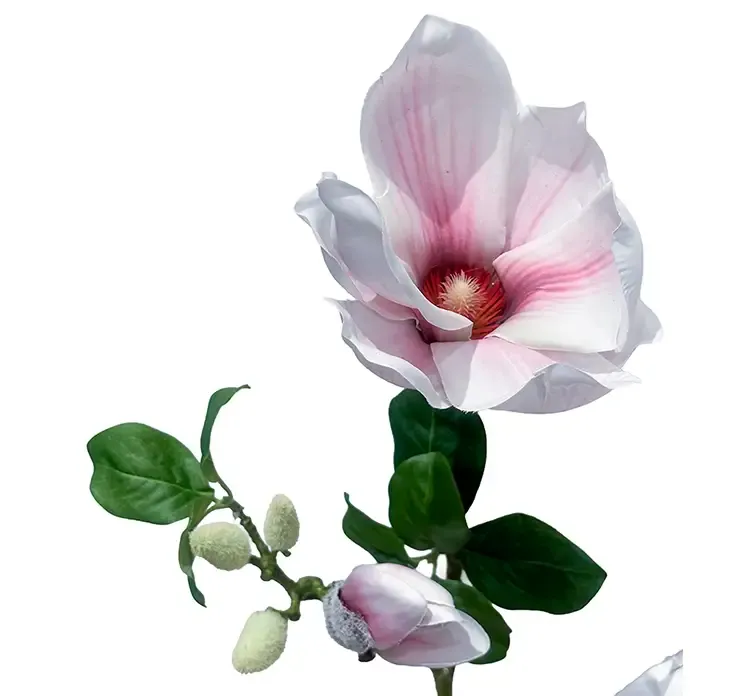 Kunstig Magnolia blomstergren af plast i hvid og pink, closeup af blomster