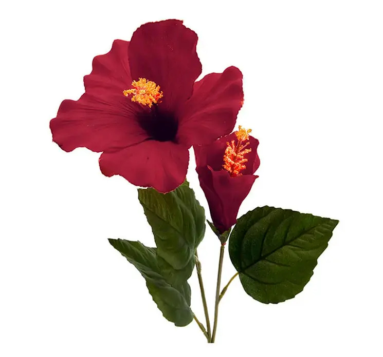 Hawaii blomst også kaldet hibiscus kunstig af plast i rød closeup