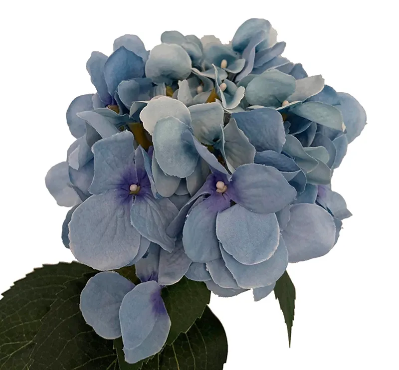 Kunstig blomst hortensia i blå closeup