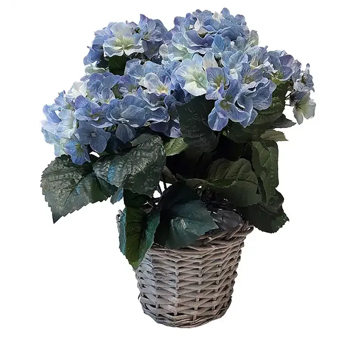 Hortensia kunstig blomst af plast i blå sat i flettet kurv af rattan