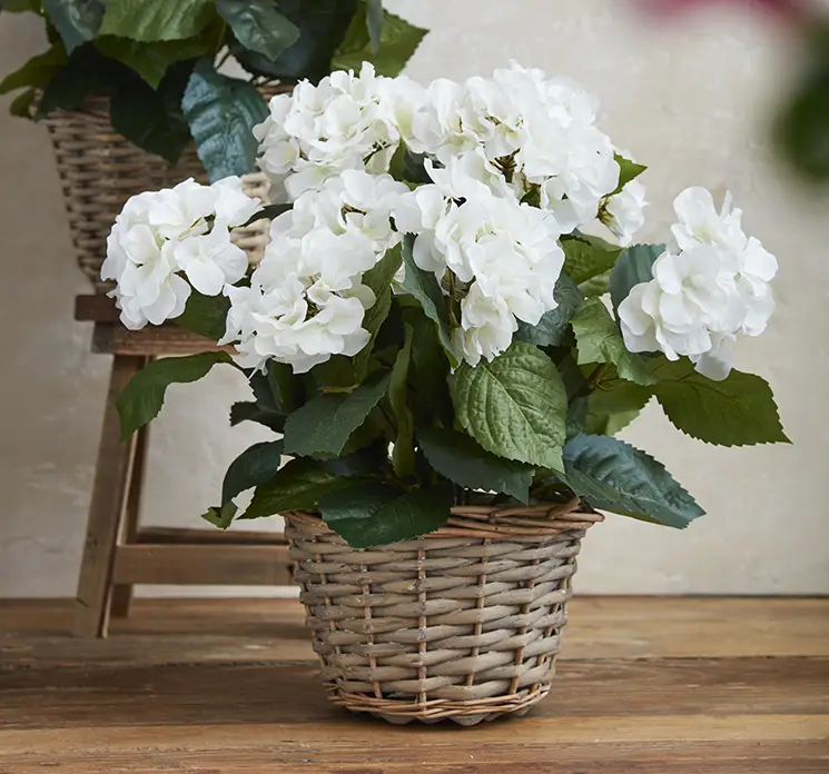 Hortensia kunstig blomst i hvid af kunstsilke i kurv af rattan vist på gulv