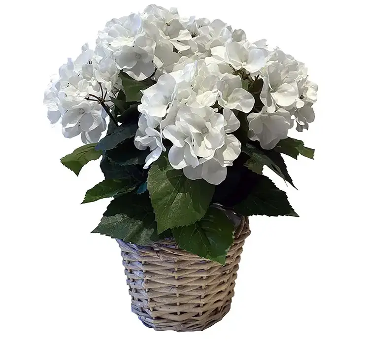 Hortensia kunstig blomst af plast i hvid sat i en flettet kurv af rattan